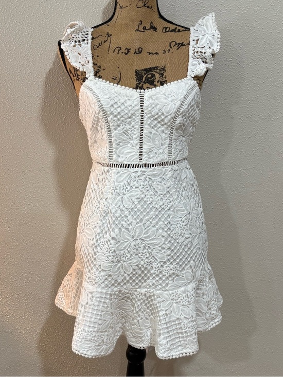 Selfie Leslie Dresses & Skirts - Selfie Leslie White Crochet Lace Mini Dress
